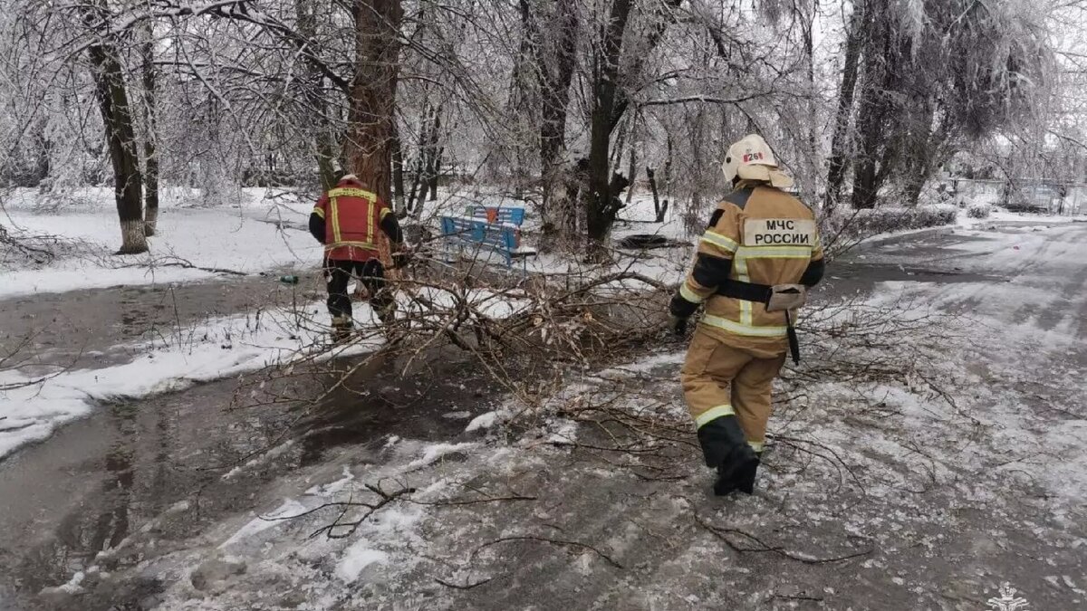     Автор: 61.mchs.gov.ru