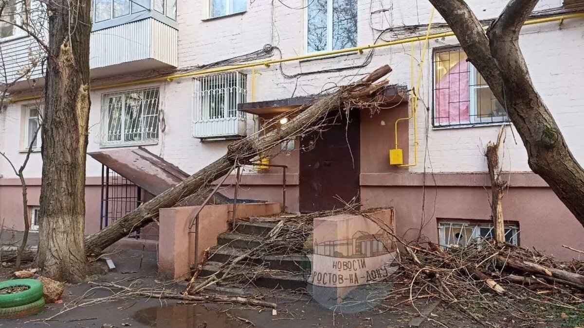     Автор: t.me/rnd_my