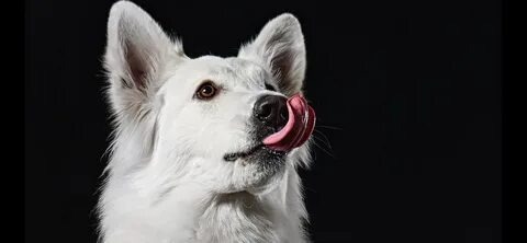 Фото из свободных источников для иллюстрации статьи 