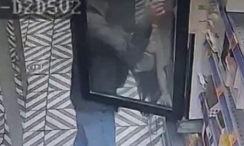    Скриншот видео t.me/police_sochi