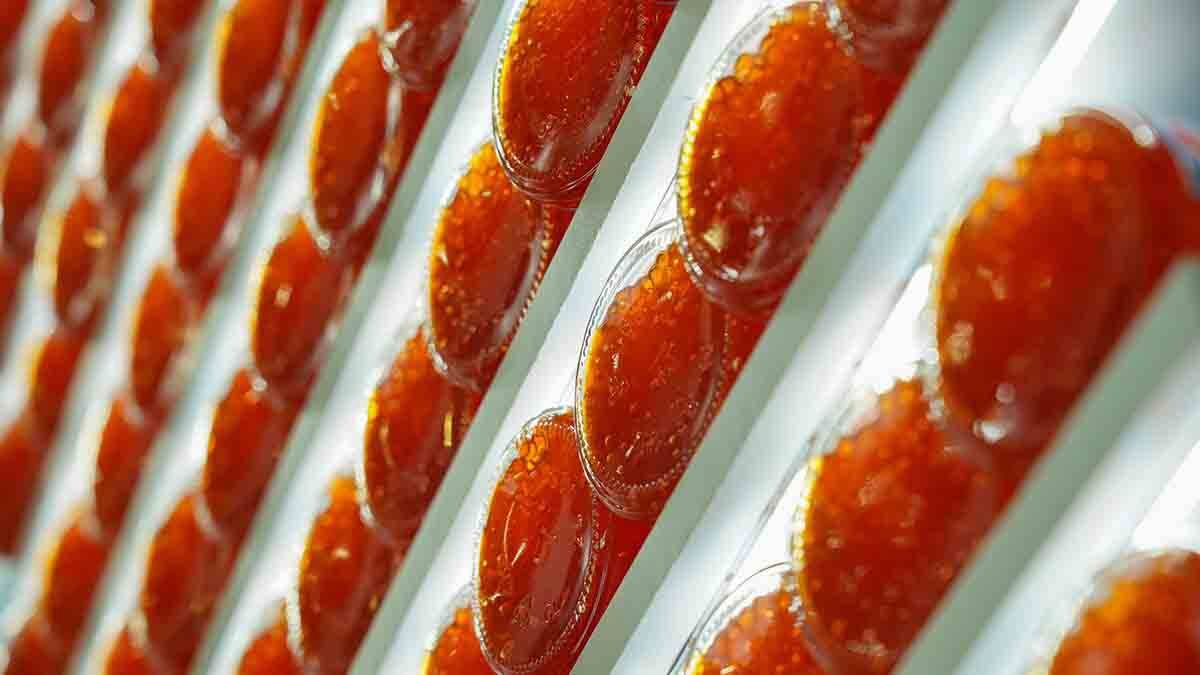    Фото: Александр Авилов / АГН Москва