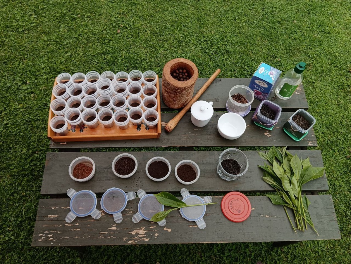 Дегустация чая 