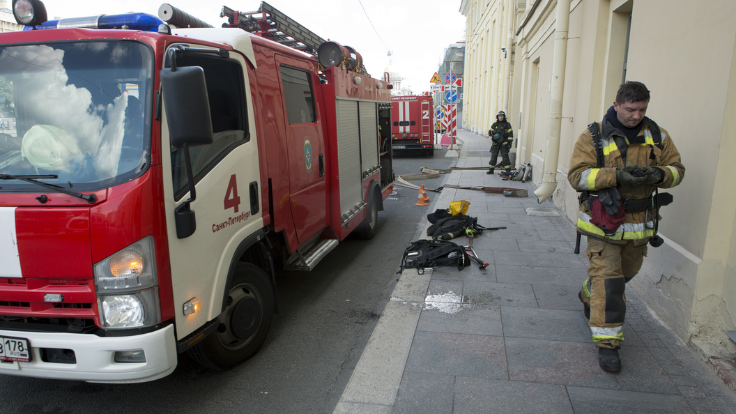    Nikolay Gyngazov/Globallookpress