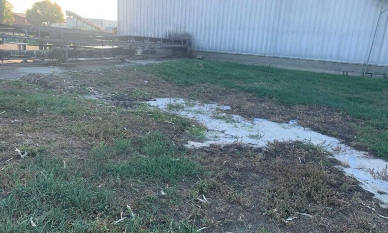    Фото t.me/rosprirodnadzor_yuzhnoye