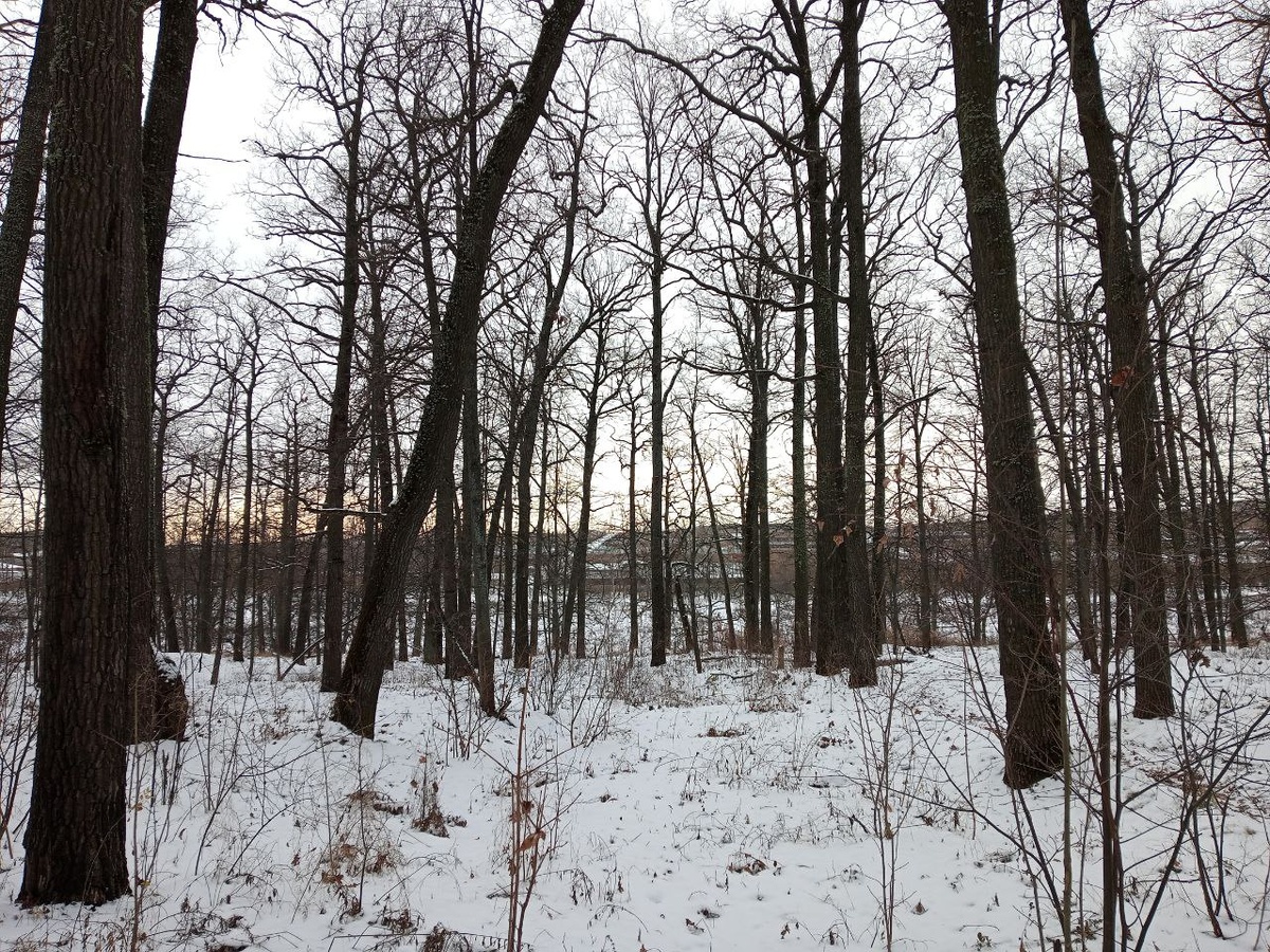 Все фото в статье мои 