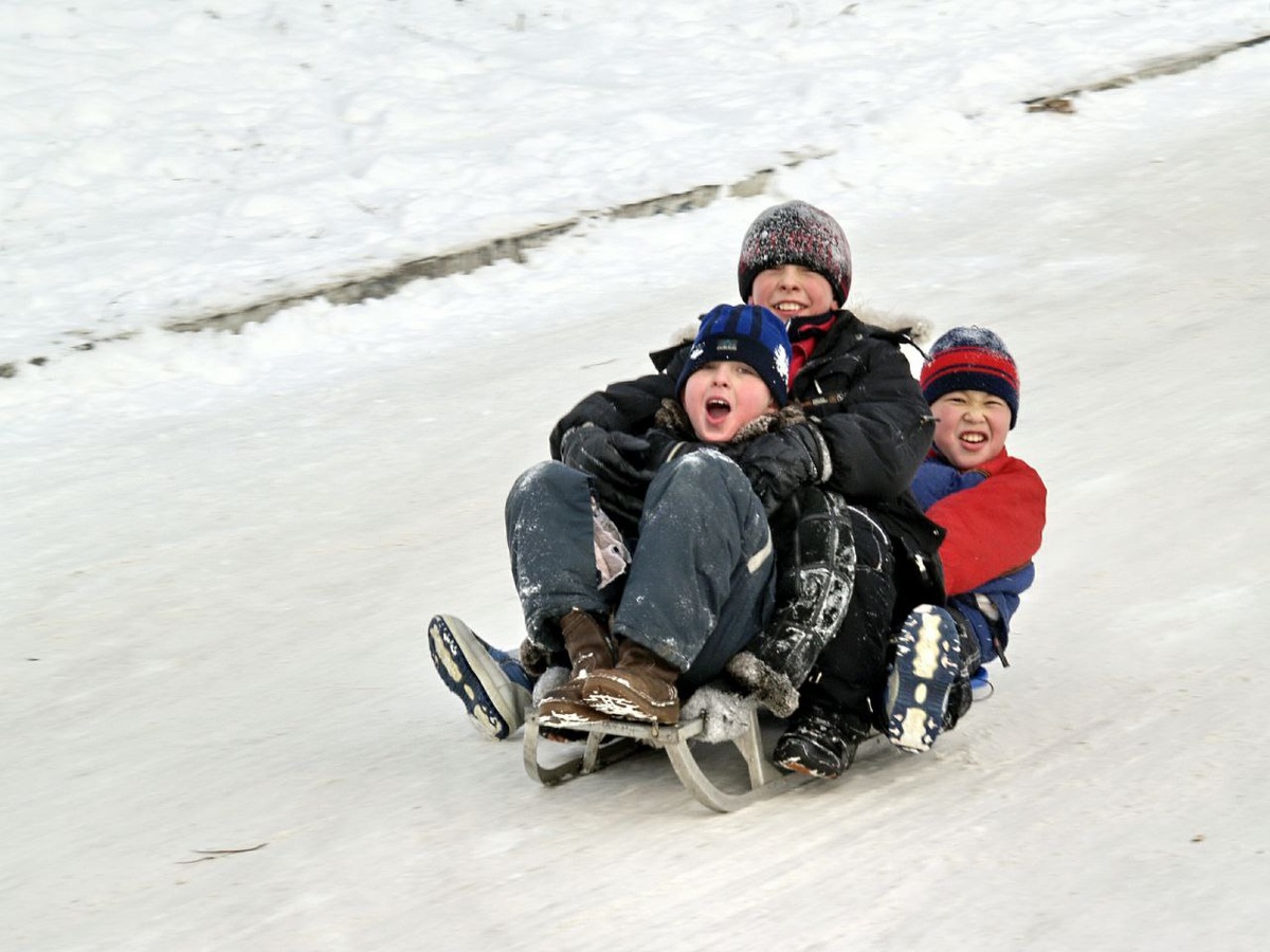 Катайтесь на санках. Фото: Global Look Press 