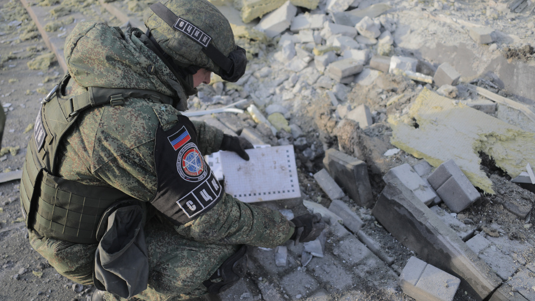    фото: Tsitsagi Nikita/news.ru