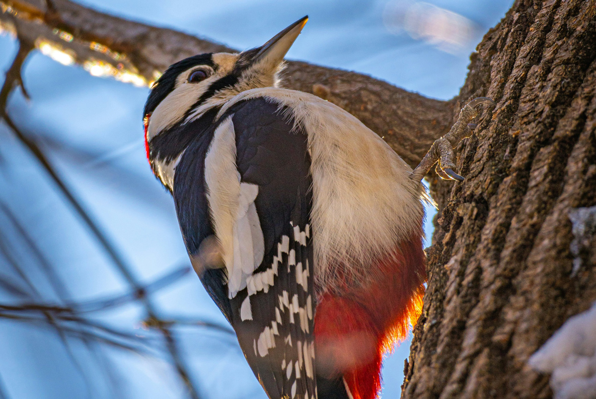 Фото: Ainur Khakimov/Unsplash.com