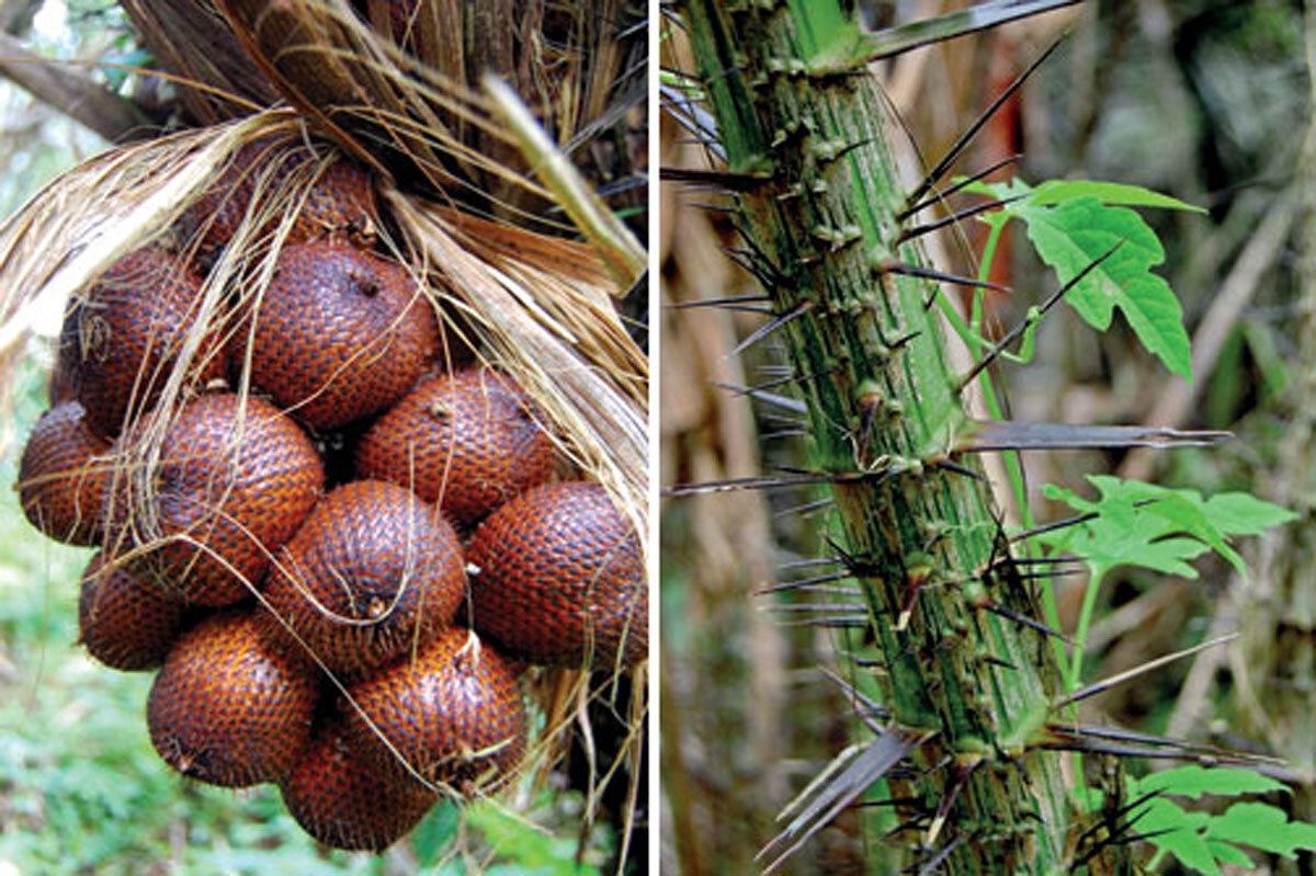 фото из интернета