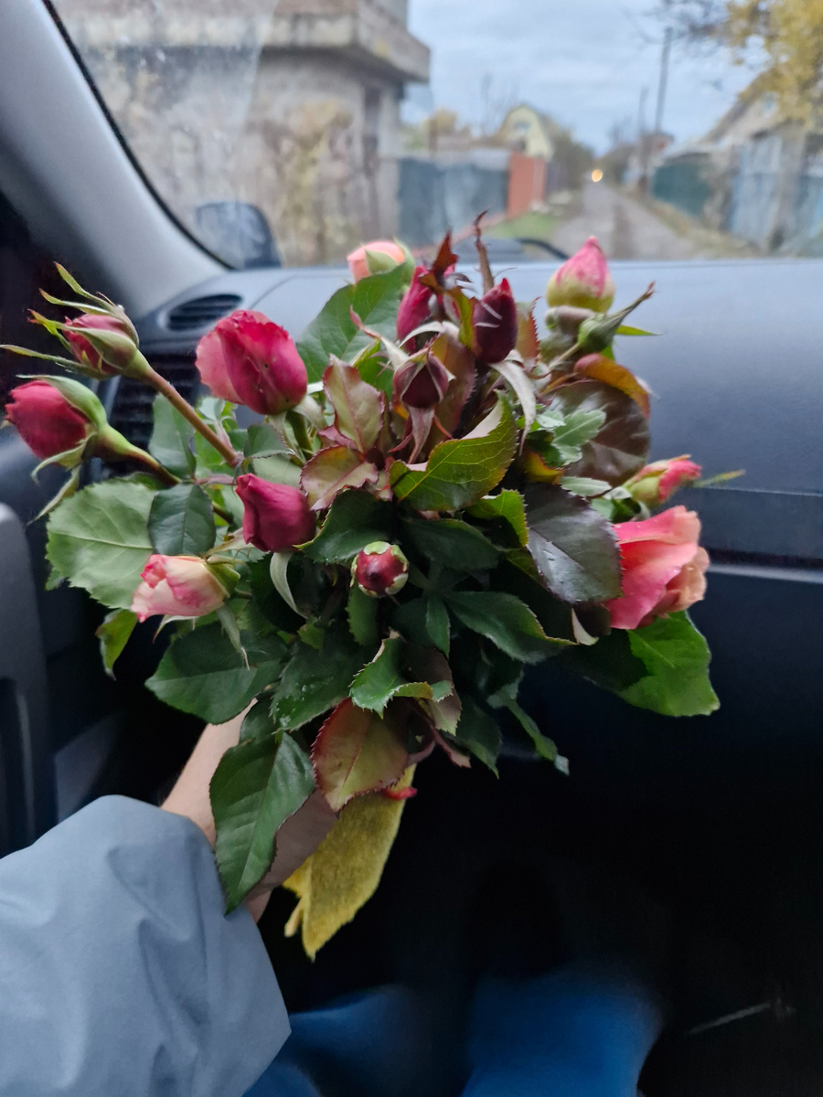 Собран 9 ноября 2024г.