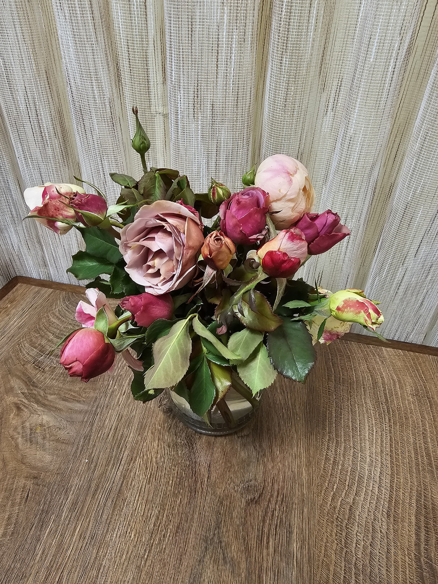 Вот бы сохранить его на всю зиму