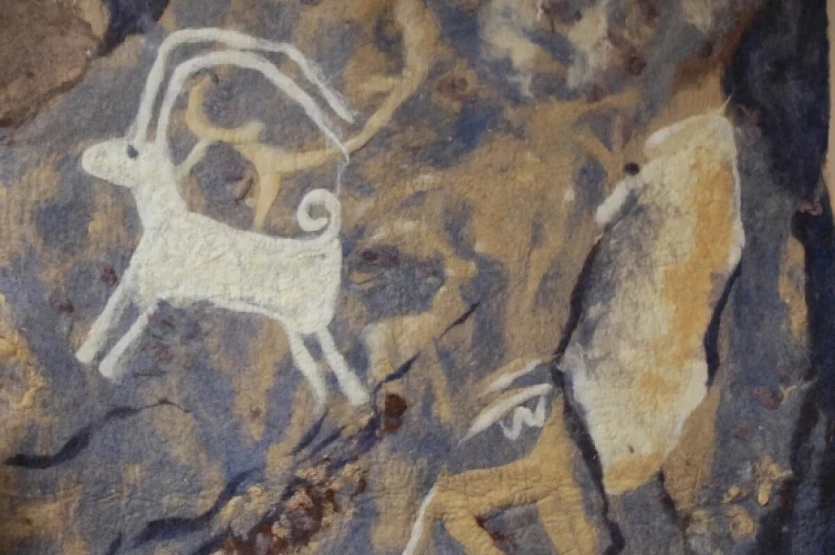    Ученые создали виртуальный тур по петроглифам Республики Алтай