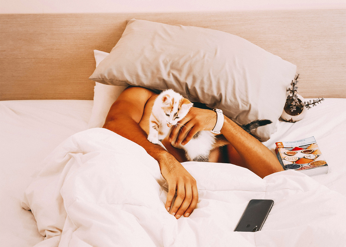 Фото превью / H Nzife / unsplash.com