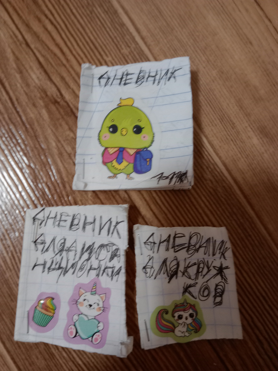 Дневники: обычные, для дистанционного обучения, и кружков 