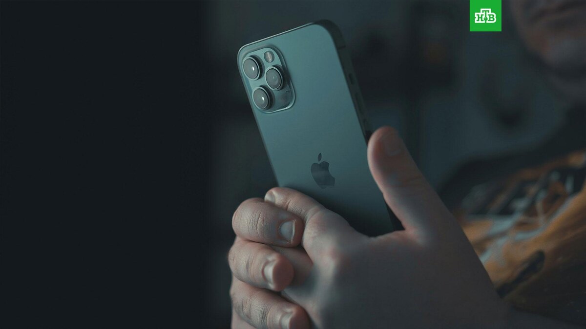    Фото: Onur Binay / unsplash.com