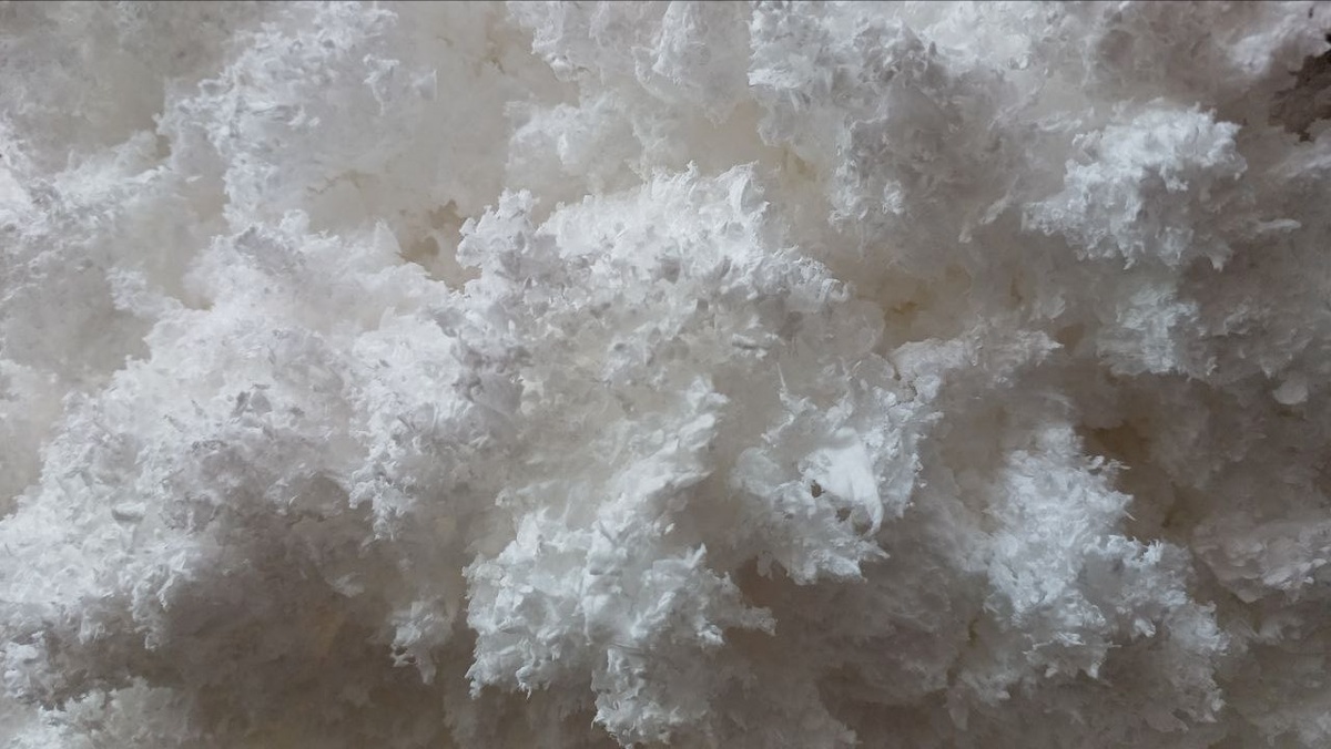 Сорбирующий наполнитель для производства сорбирующих бонов для нефтепродуктов