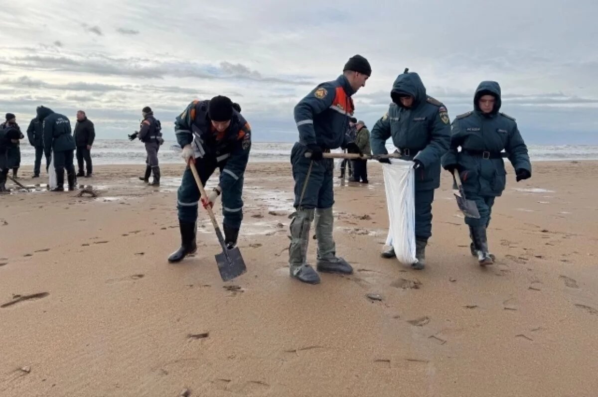    На берегу Черного моря собрали 400 мешков загрязненного мазутом грунта