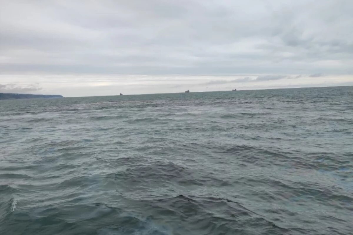    Эксперт рассказал, кому угрожает разлив нефтепродуктов в Черном море