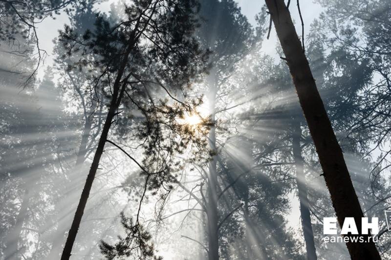    Также они поделились, сколько у них должно быть комнат и как далеко жилье расположено от центра города