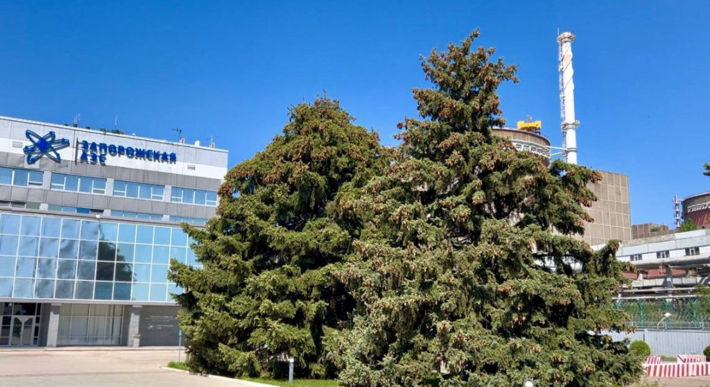    photo_2024-09-18_11-30-27