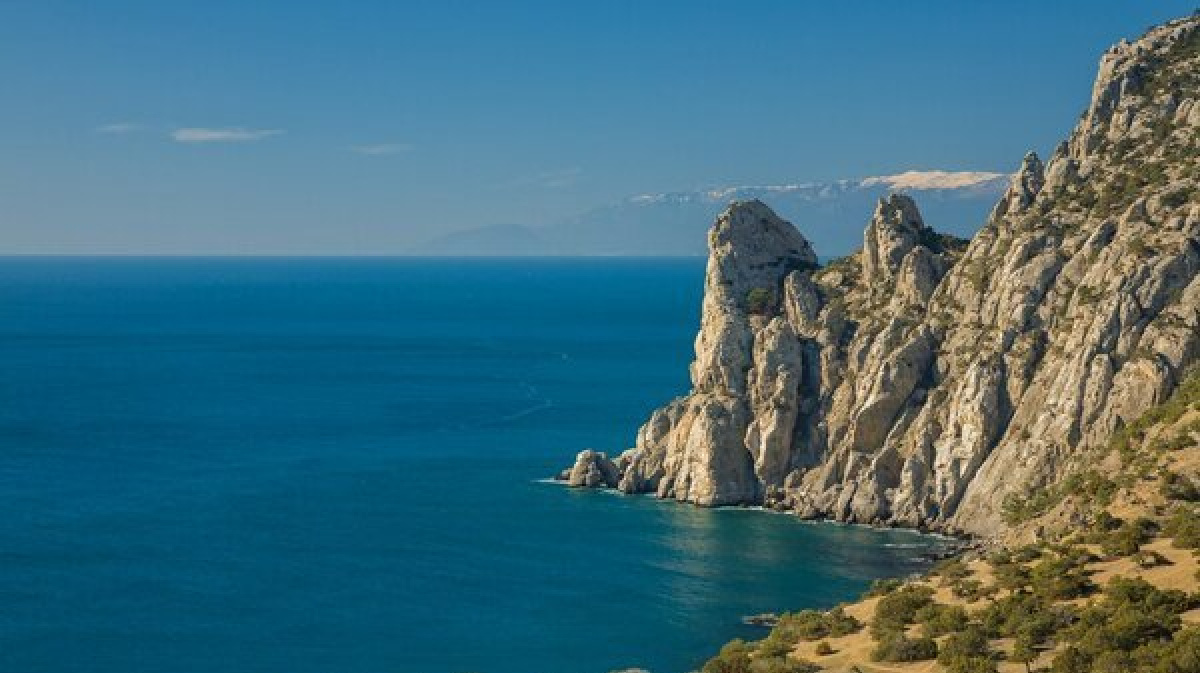 Фото взято из яндекс картинок