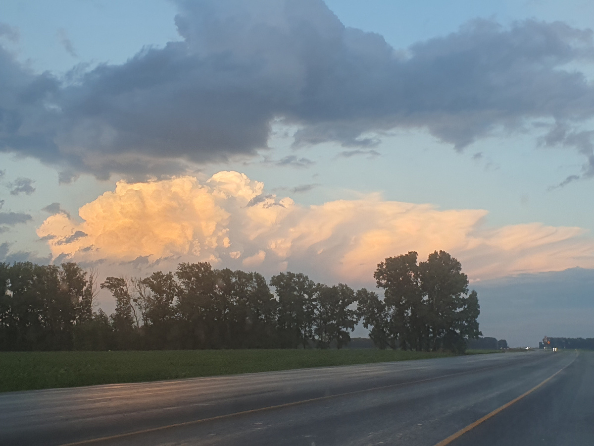 Чуйский тракт. Где-то около Барнаула.