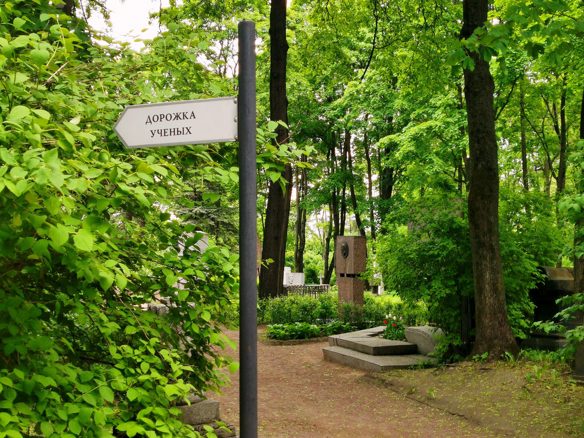 Фото автора.