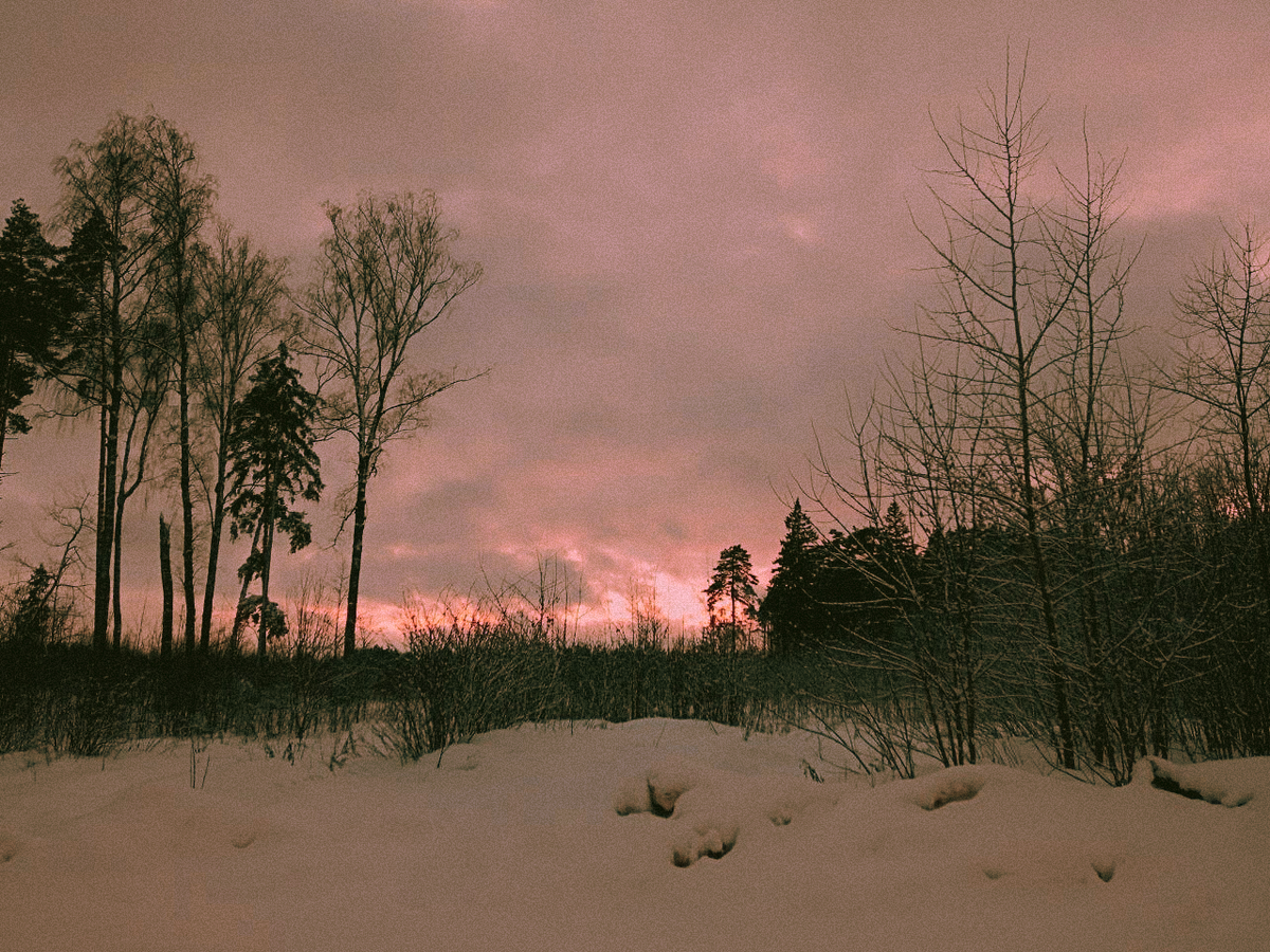зимний пейзаж на закате