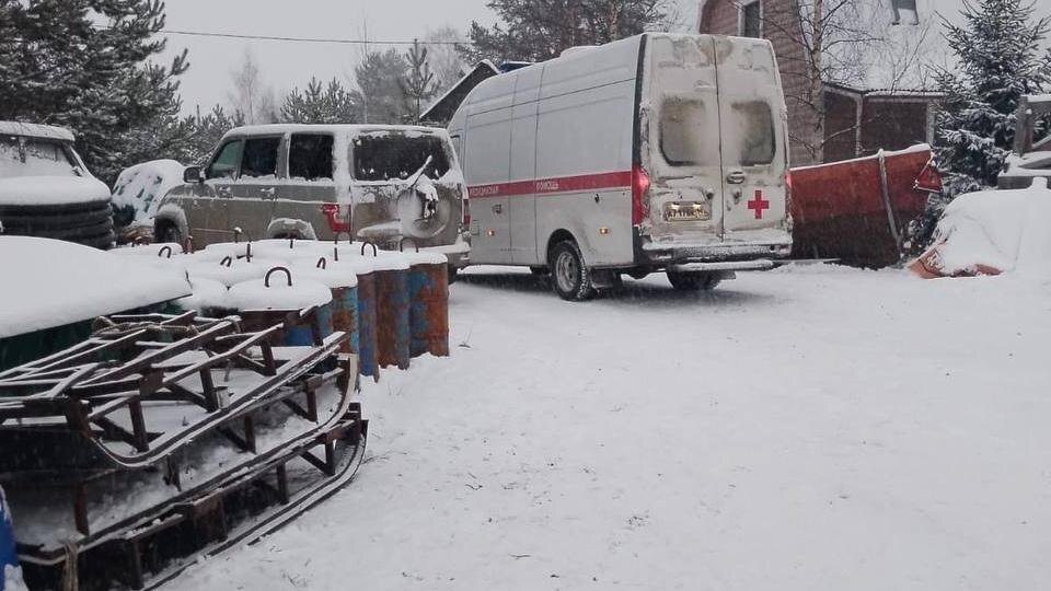    Фото: t.me/mvdszfo