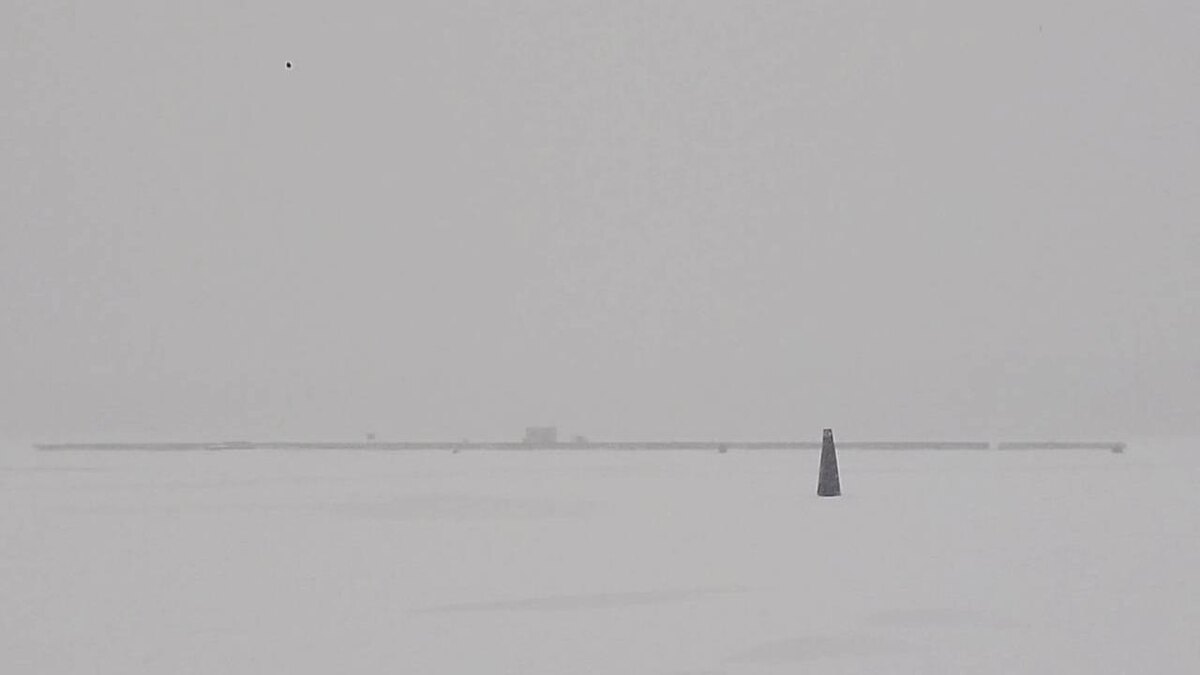    Фото: t.me/mvdszfo