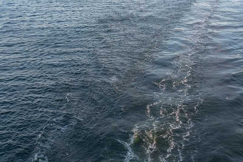    Фото: Mateus Andre/Freepik