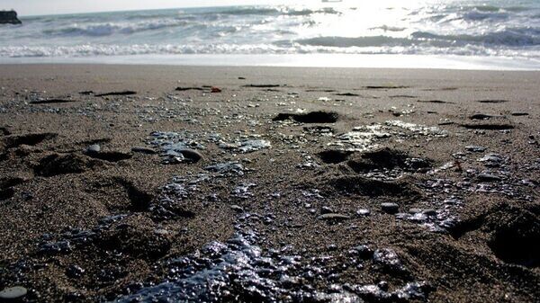    © Фото: пресс-служба администрации Судака