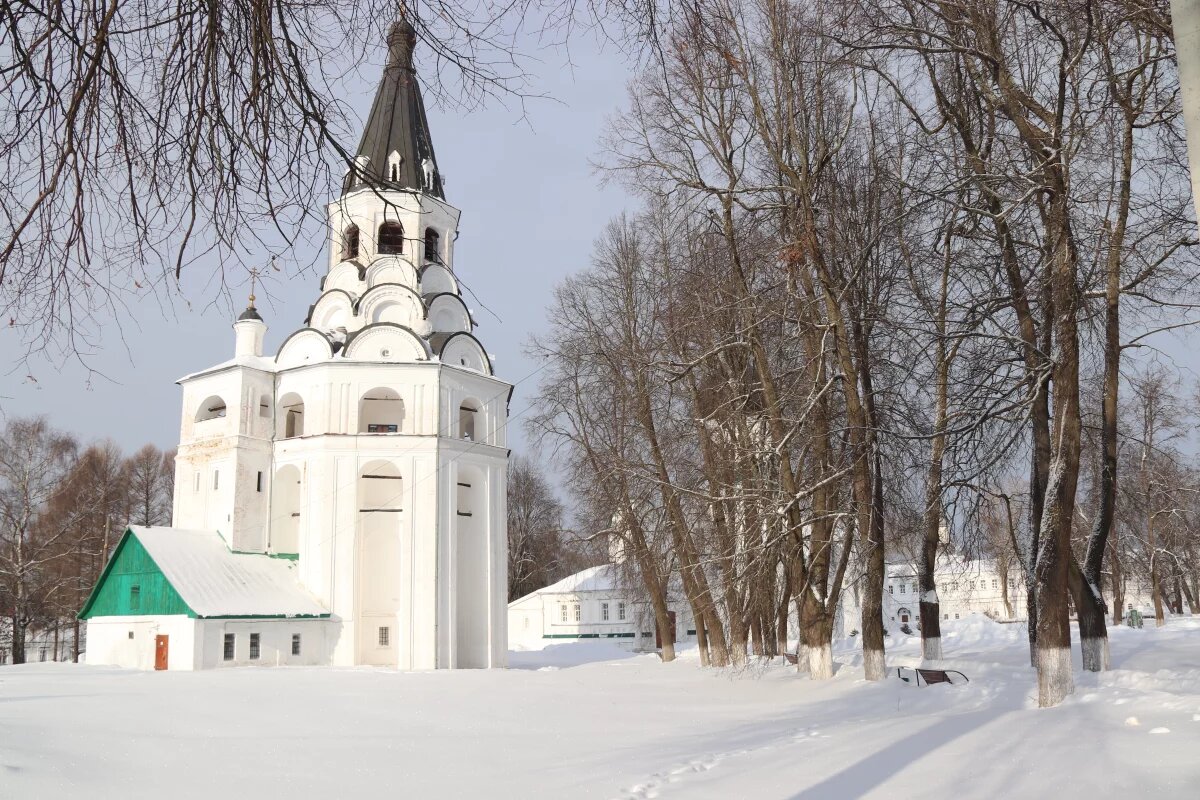    «Елки» начались!