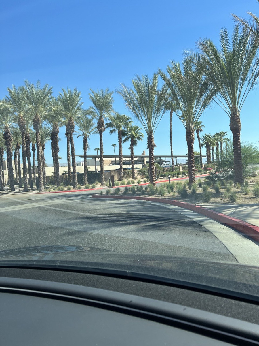 На машине по Калифорнии. Америка. Фото из личного архива