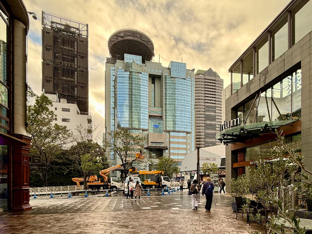 Nagoya Cochin Ichio Akasaka Iccho