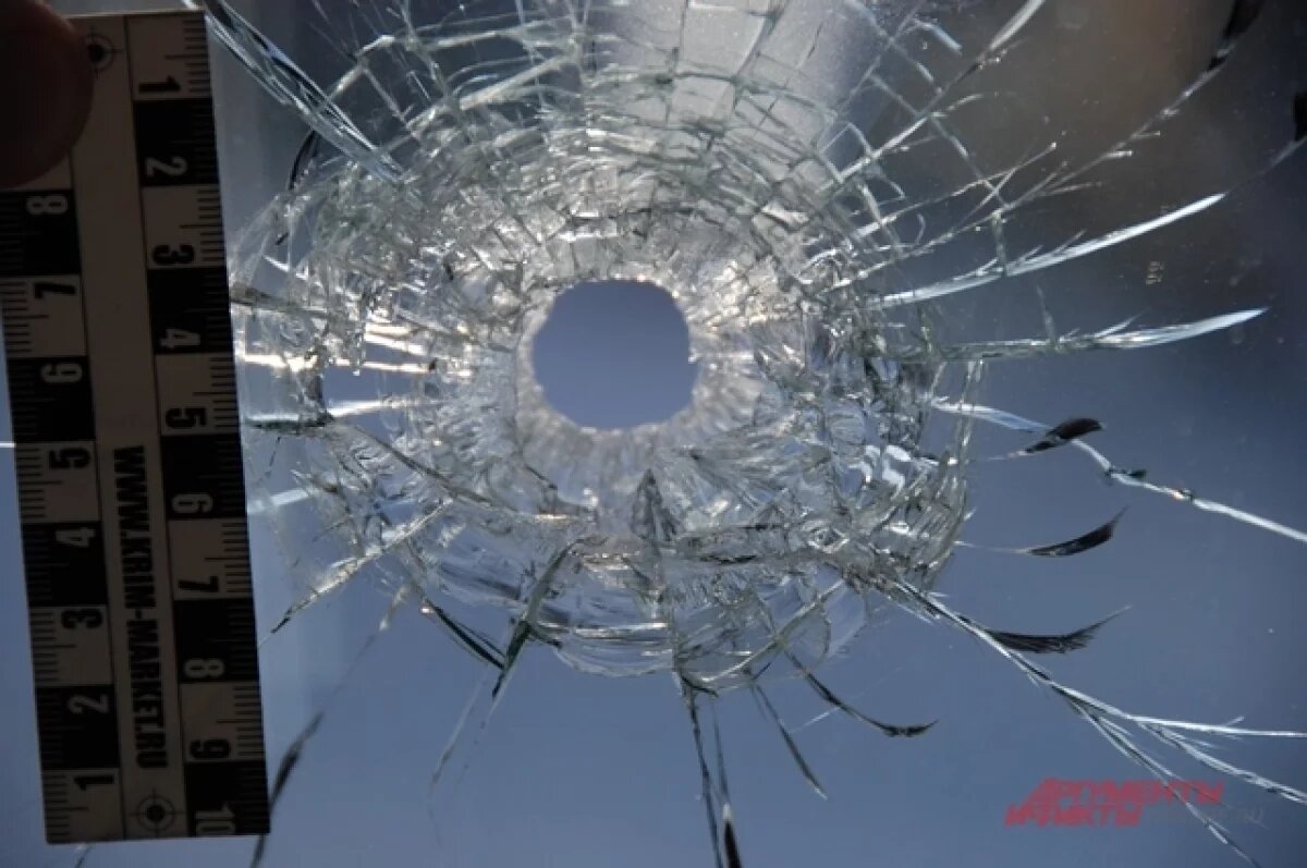    Дончанина будут судить за смертельные выстрелы по проезжающей машине