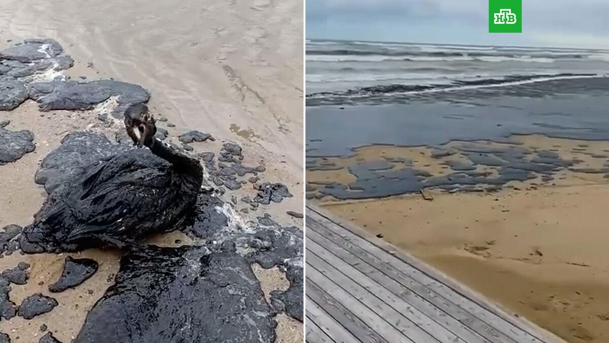    На побережье Кубани обнаружили мазут после крушения двух танкеров