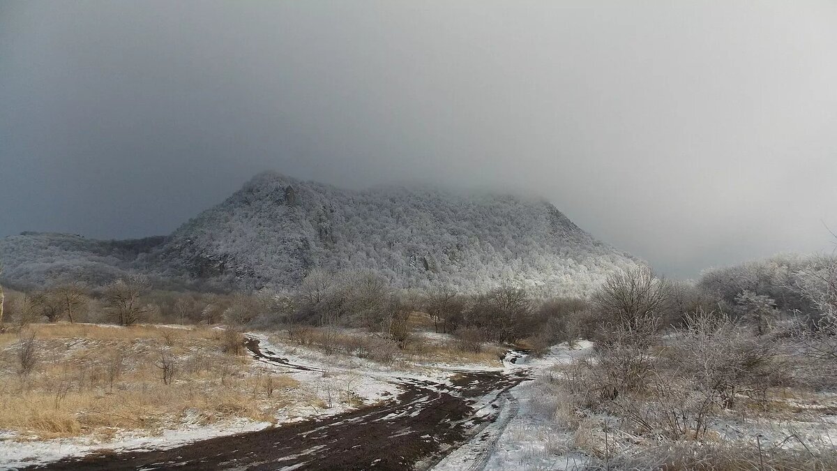     Автор: wikimedia.org