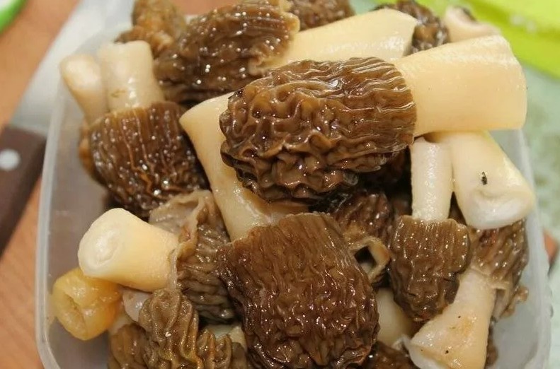 Топ-4 простых блюд из сморчков