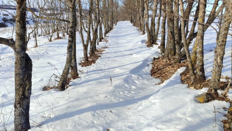      Фото: минприроды СК