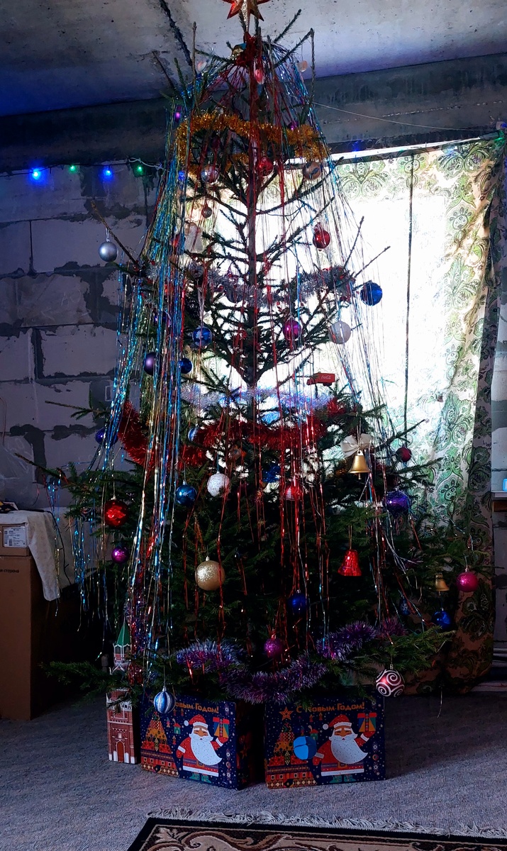 В нашей комнате лесной пахнет ёлкой и смолой. Ёлка 2025 года