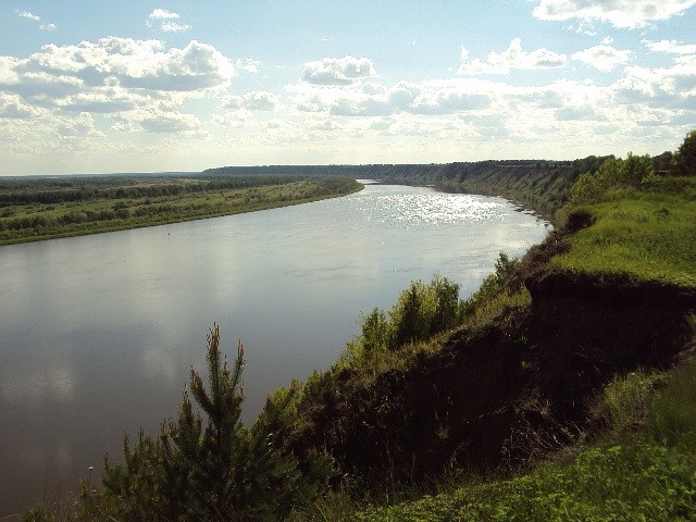 У с. Преображенка. Июль.