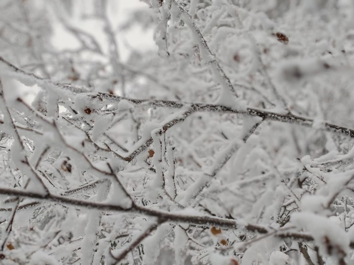   МК в Бурятии