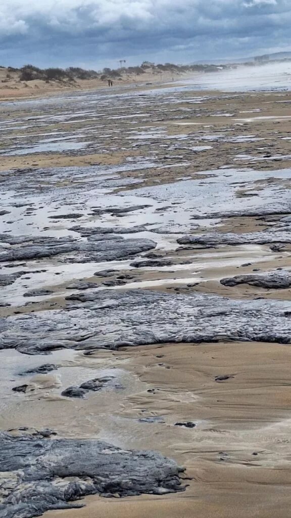 Комья мазута на пляже Анапы.