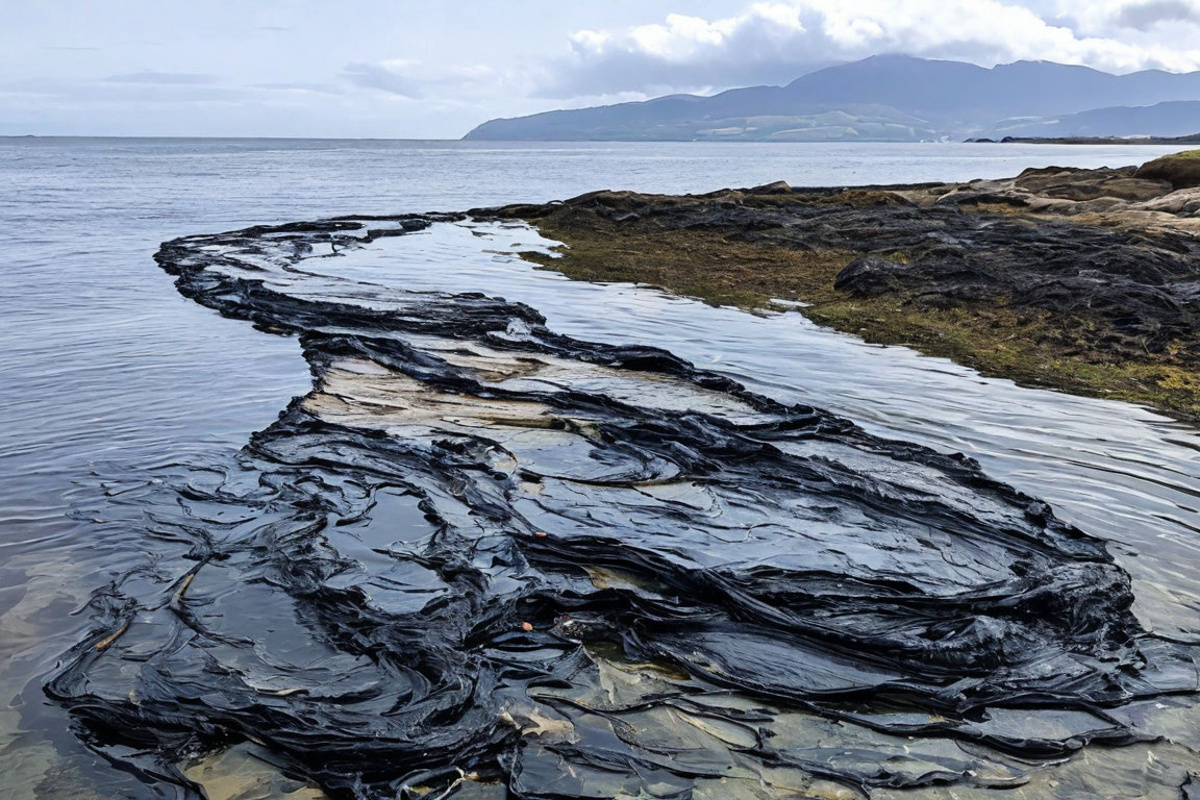 Загрязнение мазутом побережья Анапы не должно сорвать курортный сезон в 2025 году. Изображение сгенерировано нейросетью