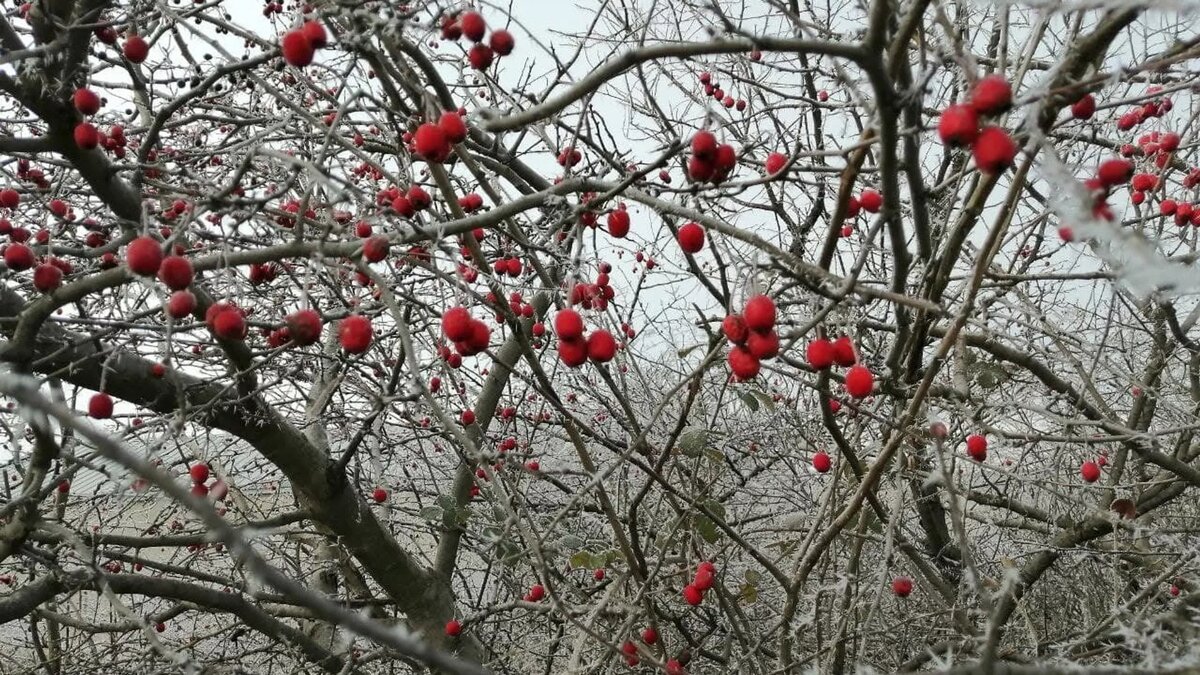 © photo: Sputnik / Stringer