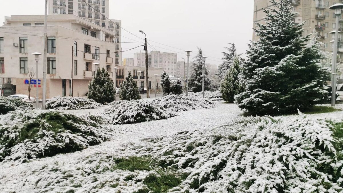 © photo: Sputnik / Stringer