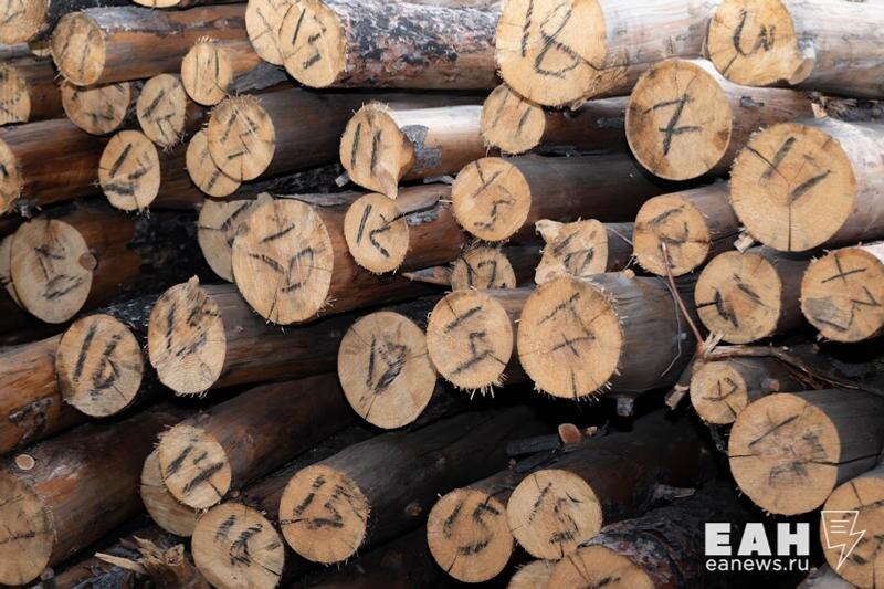    Свердловская область активно торгует с Узбекистаном