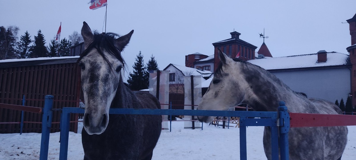 флто автора