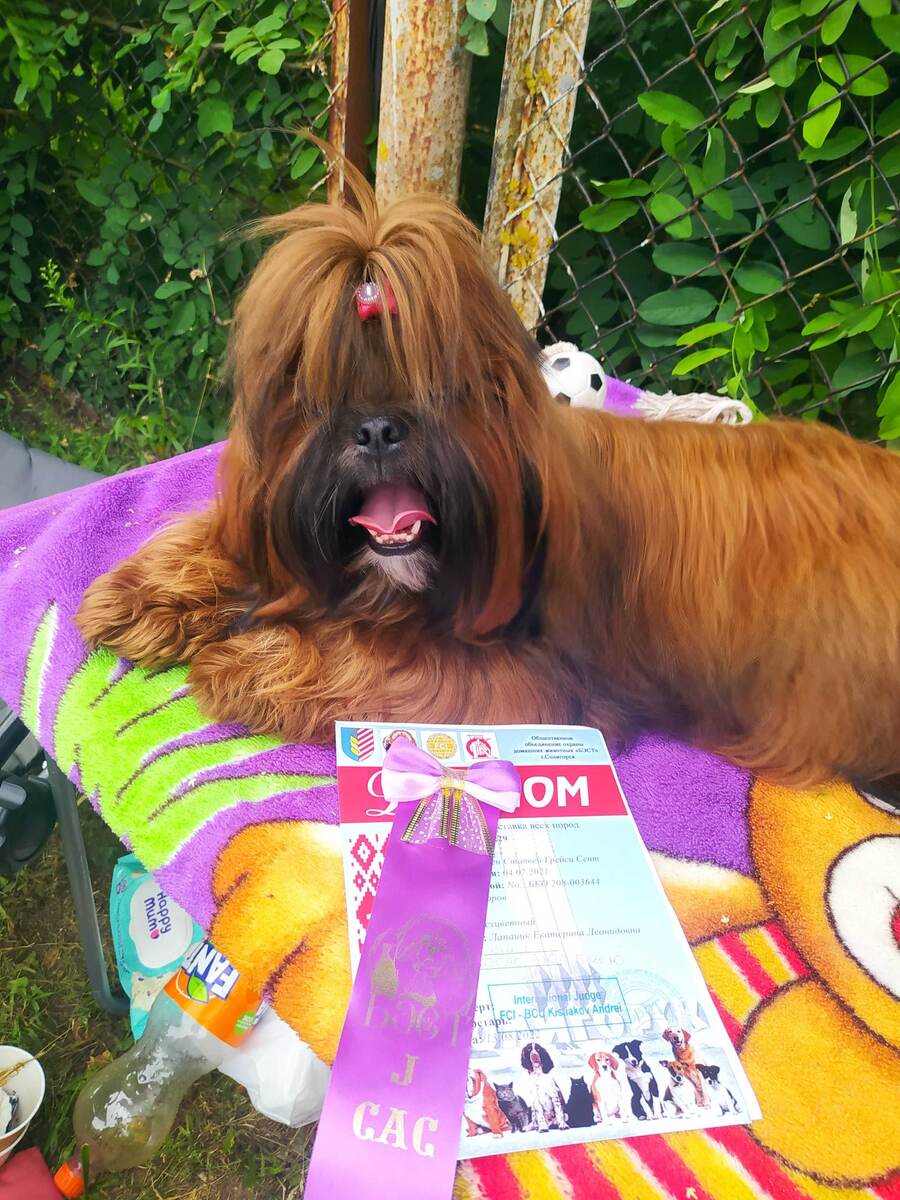 Голден Стапвей Грейси Сент